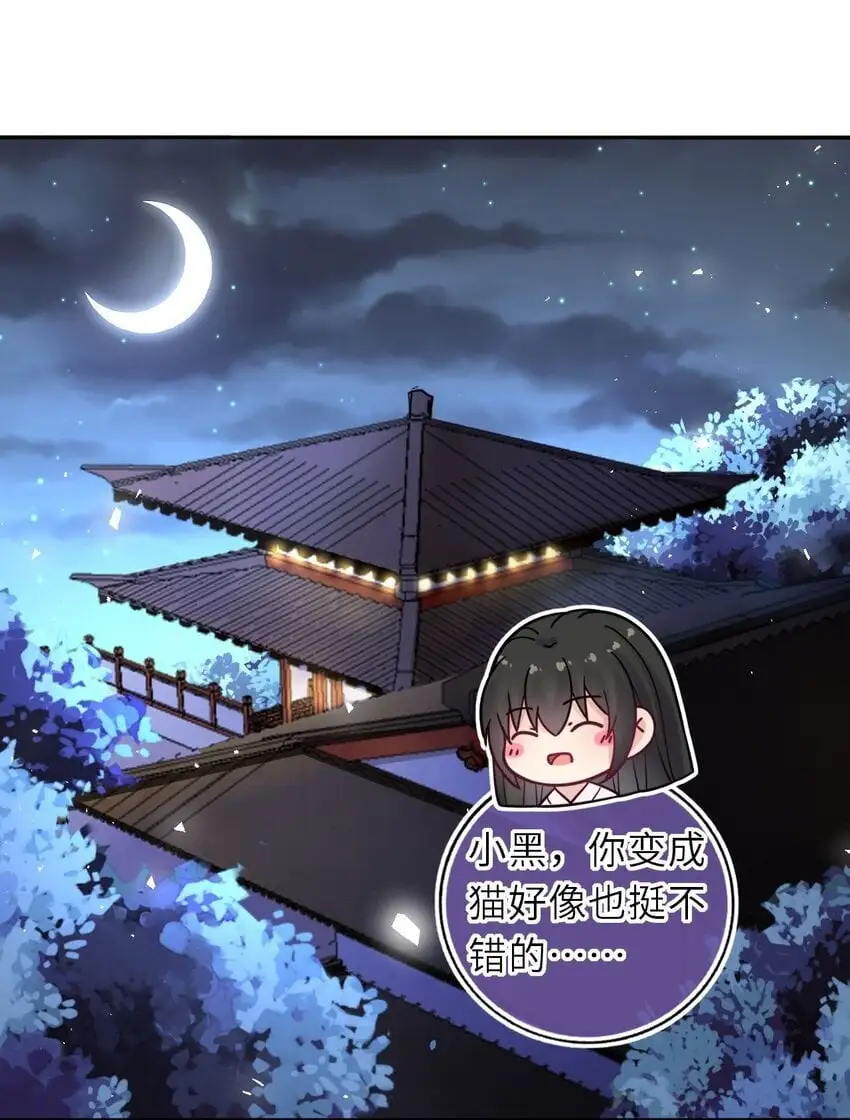 我把皇子养黑化了免费漫画在线观看漫画,088 凤姐姐是猫妖吗3图