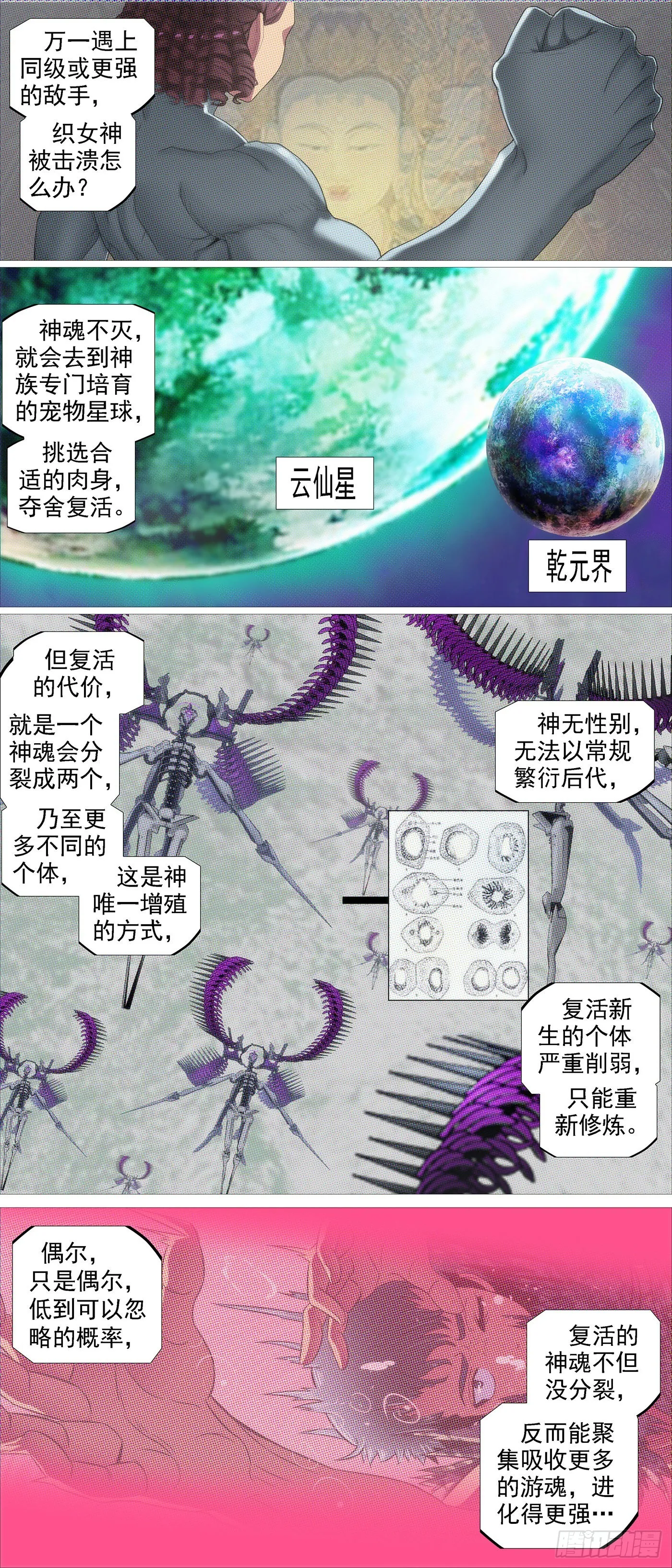 铁姬钢兵免费全集漫画,魂级由来2图