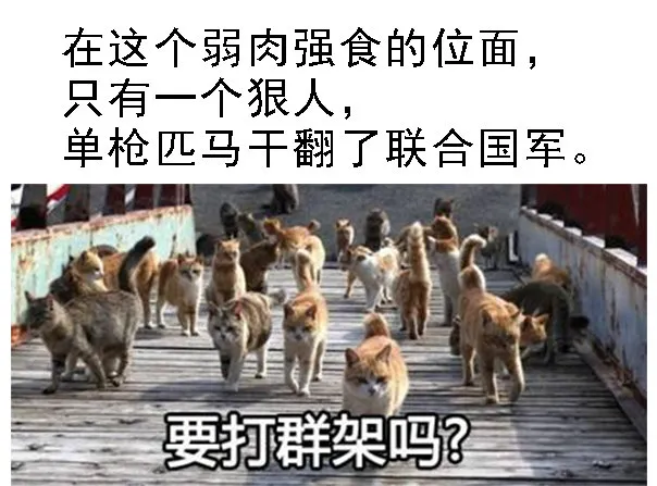 铁姬钢兵漫画免费阅读下拉式全集漫画,国庆贺图—J20姬1图