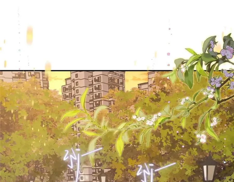 亿万星辰不及你小说全文免费阅读漫画,21 我有想嫁的人4图