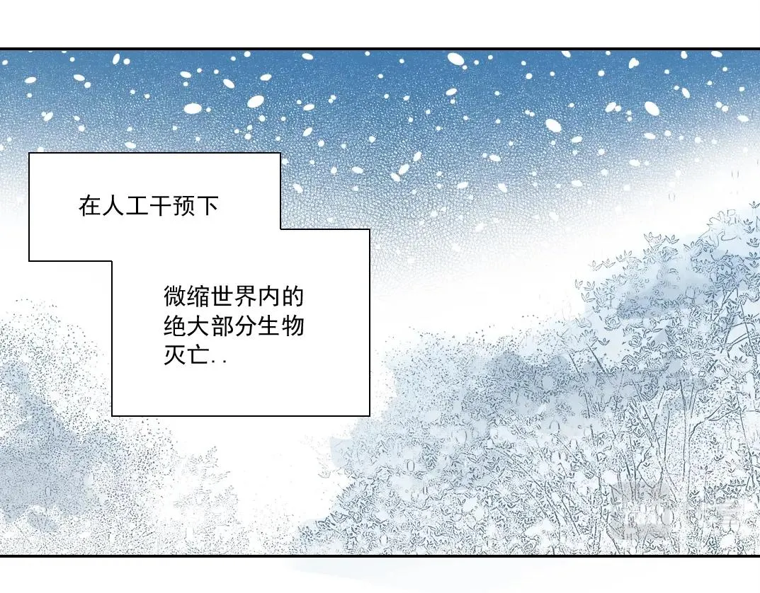 我打造了长生俱乐部动漫免费观看漫画,第143话 创世之始4图