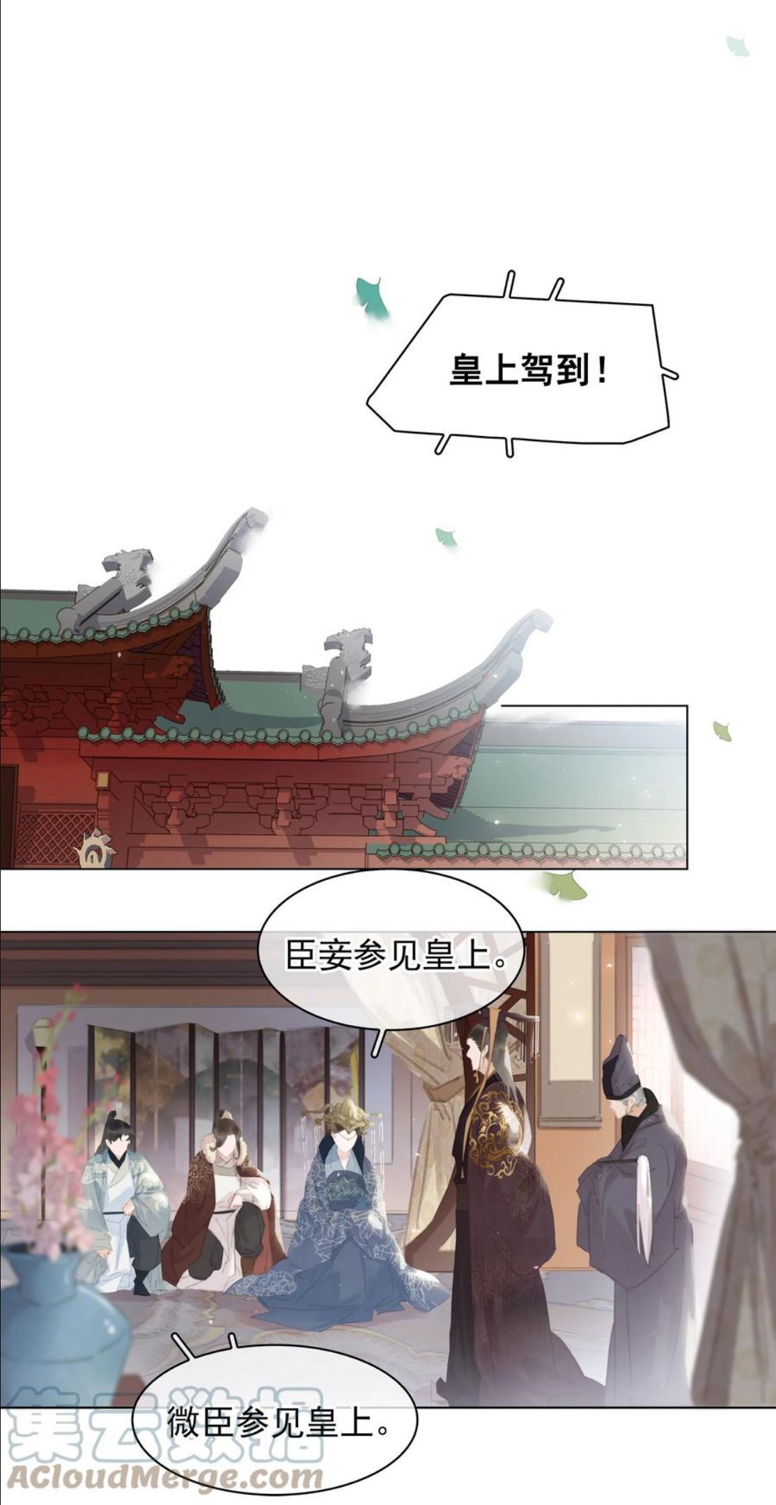 不做软饭男by碉堡堡免费阅读漫画,050 小命不要了3图