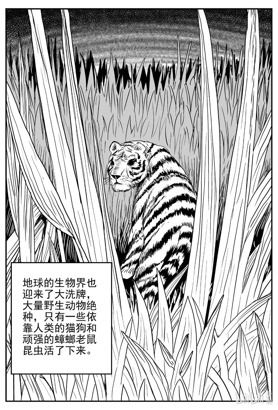 小智怪谈在线漫画,611 22世纪杀人网络4图