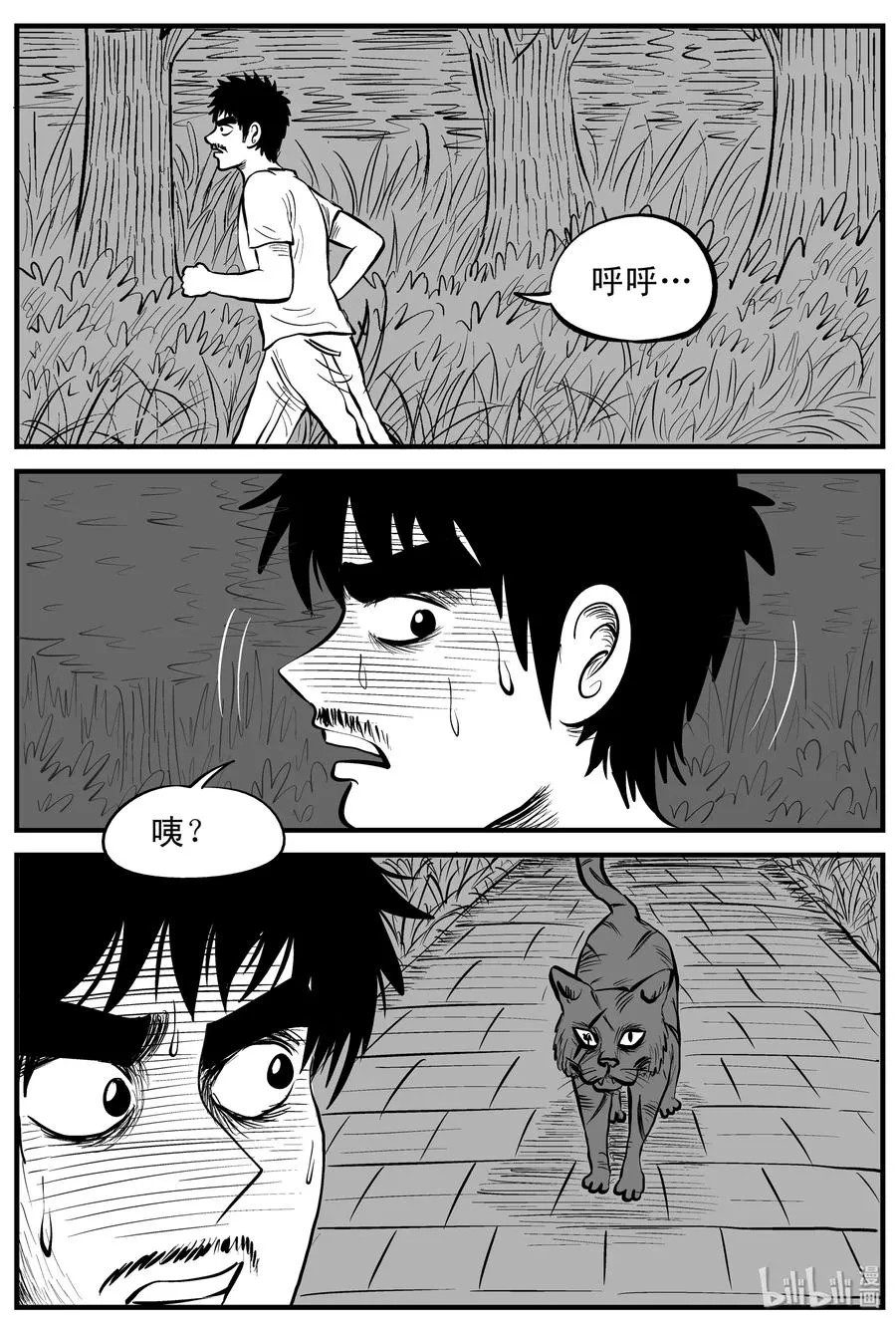 小智怪谈免费漫画下拉式酷漫屋漫画,163 猫5图