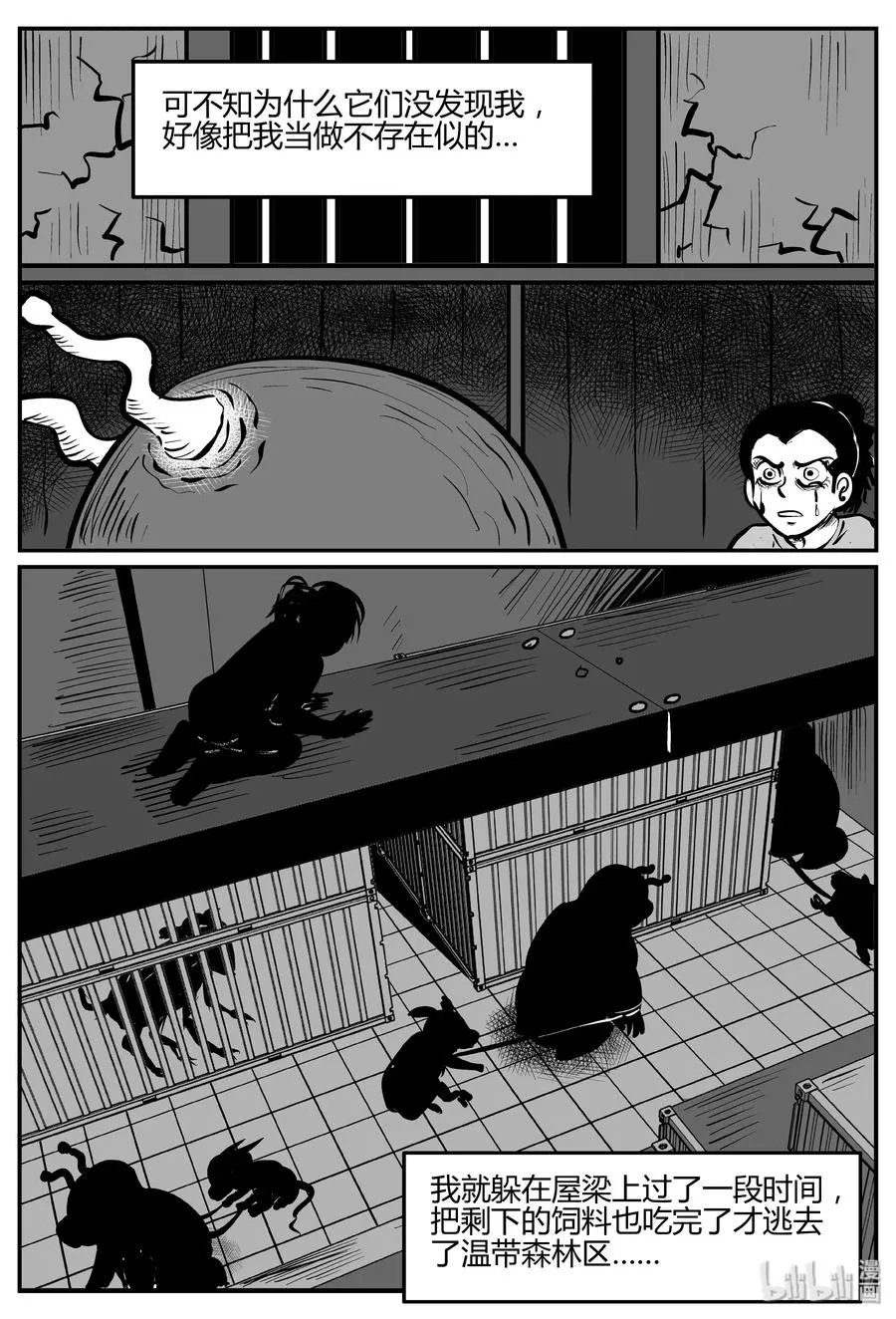 小智怪谈漫画免费阅读土豆漫画漫画,063 它：舟（4）3图