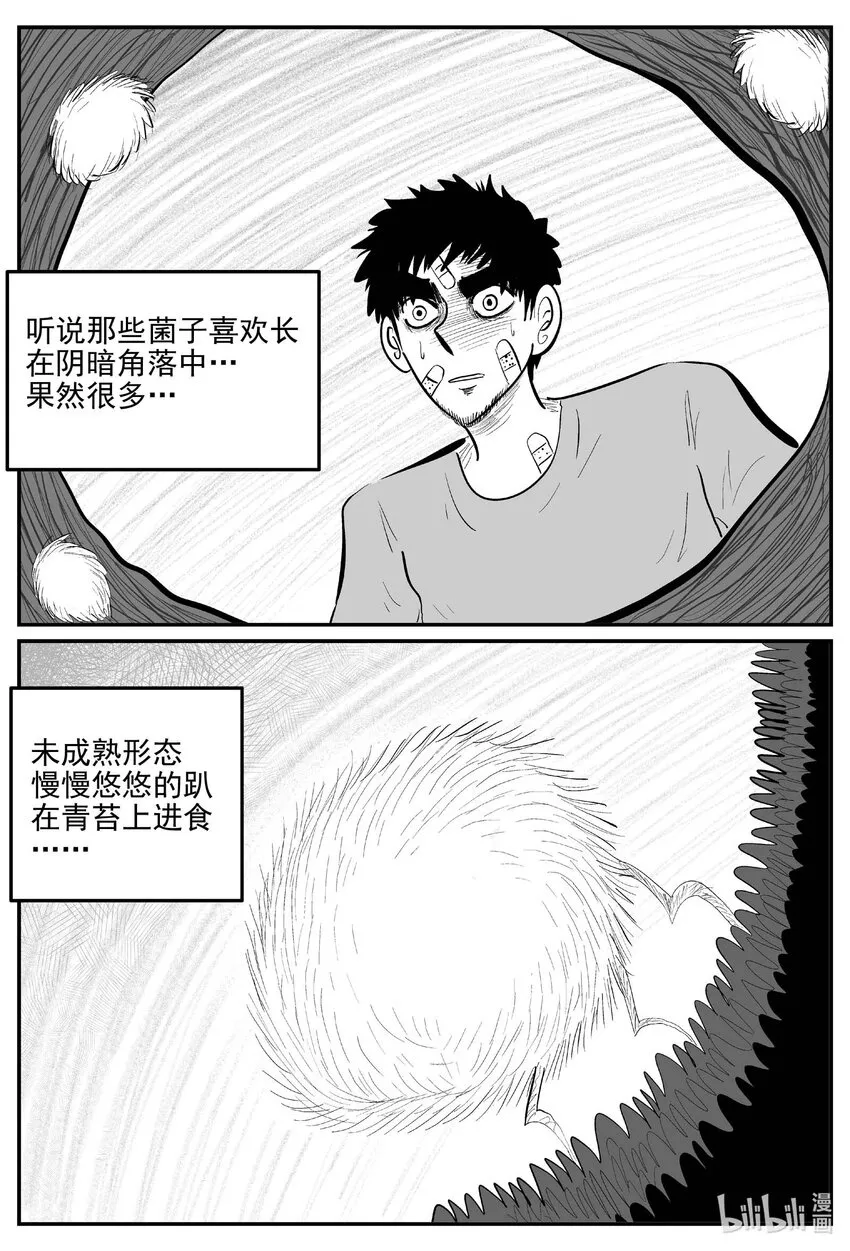 小智怪谈消失的走廊结局什么意思漫画,868 人类末日之旅2图