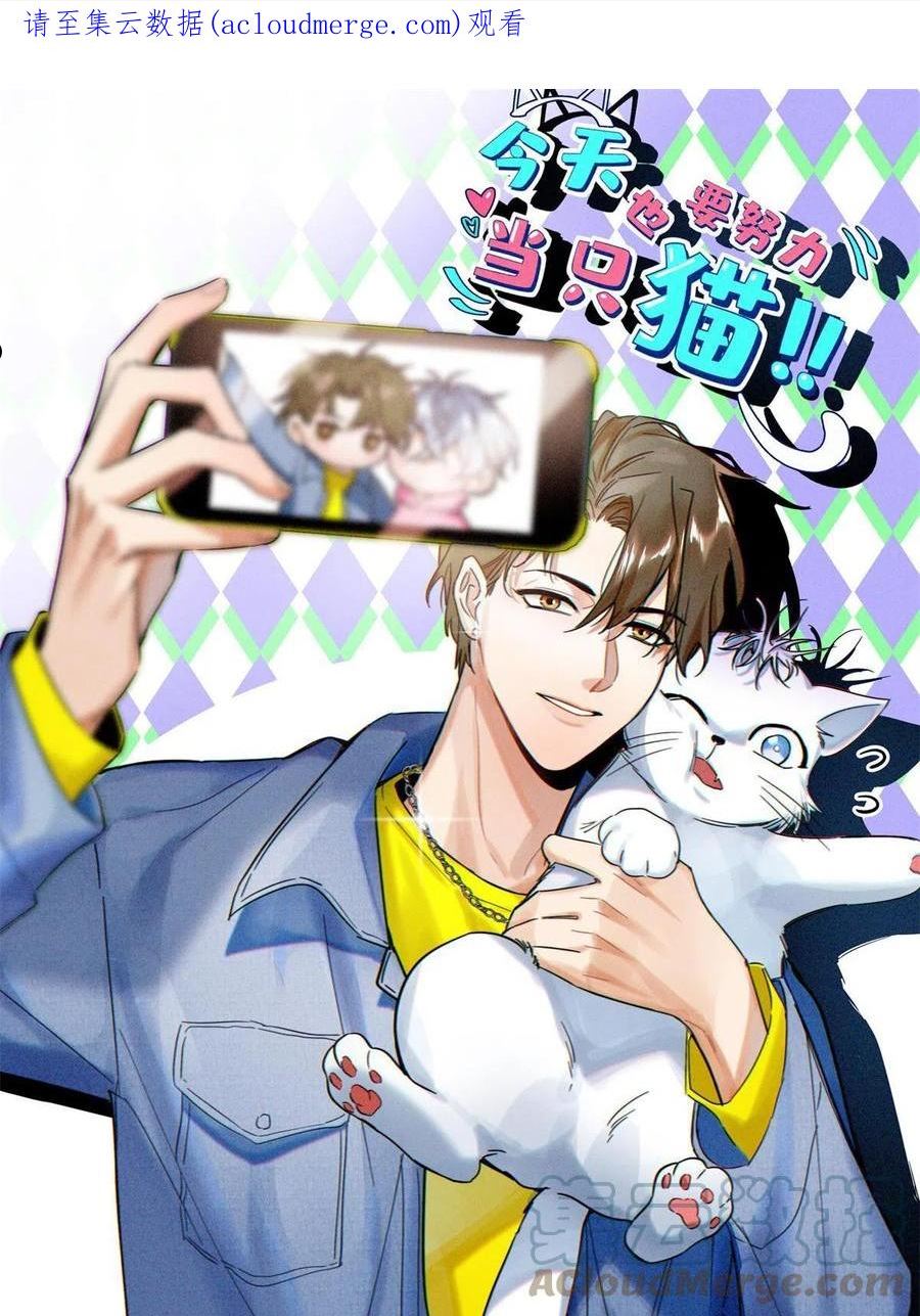 今天也要努力当只猫漫画免费阅读漫画,87 生辰八字送你1图