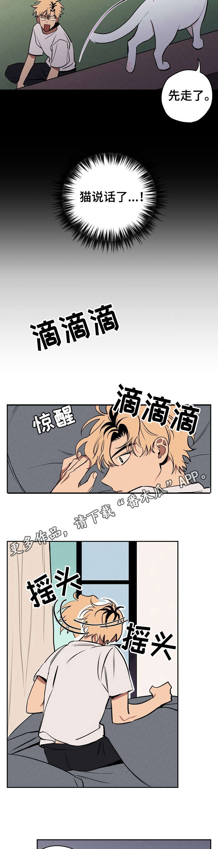 季益贵漫画,第10章：说话的猫4图