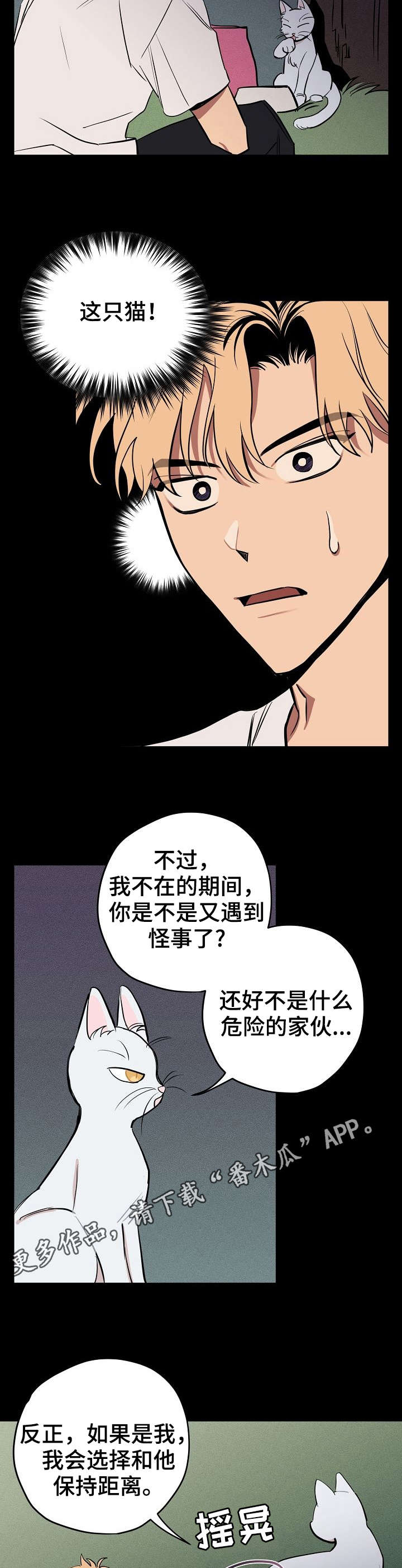 季益贵漫画,第10章：说话的猫3图