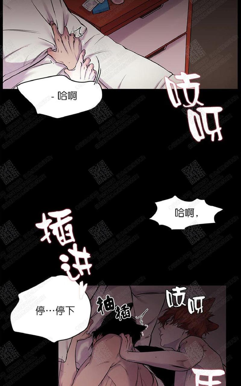 摇尾巴小狗毛绒玩具漫画,第14话3图