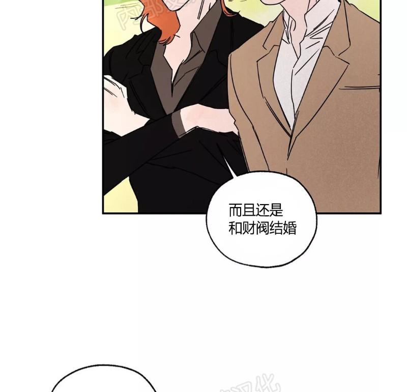 暗香疏影是指什么生肖漫画,第三部番外84图