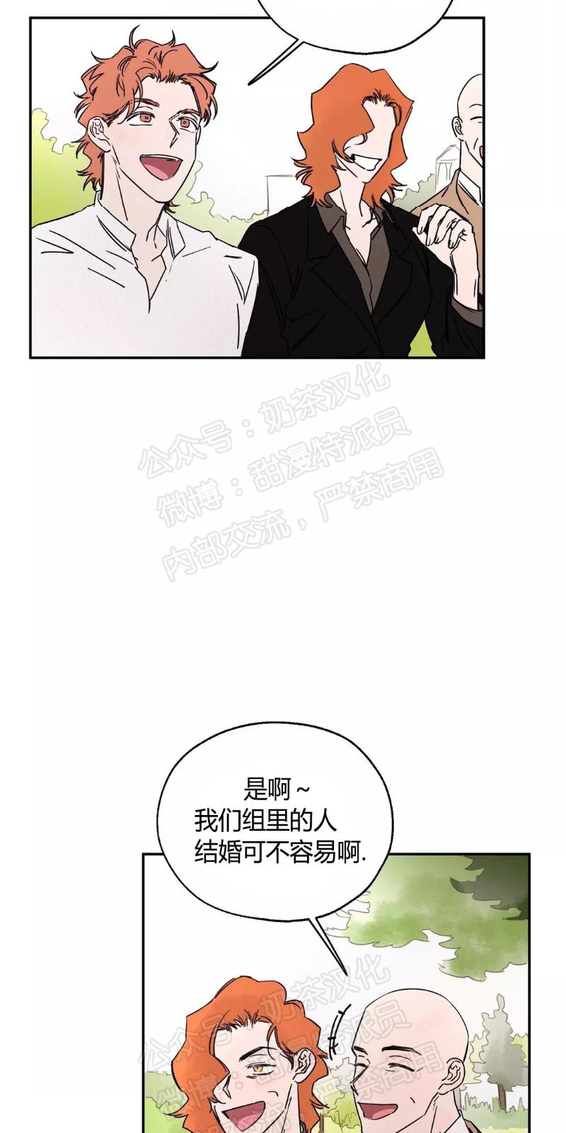暗香疏影是指什么生肖漫画,第三部番外83图