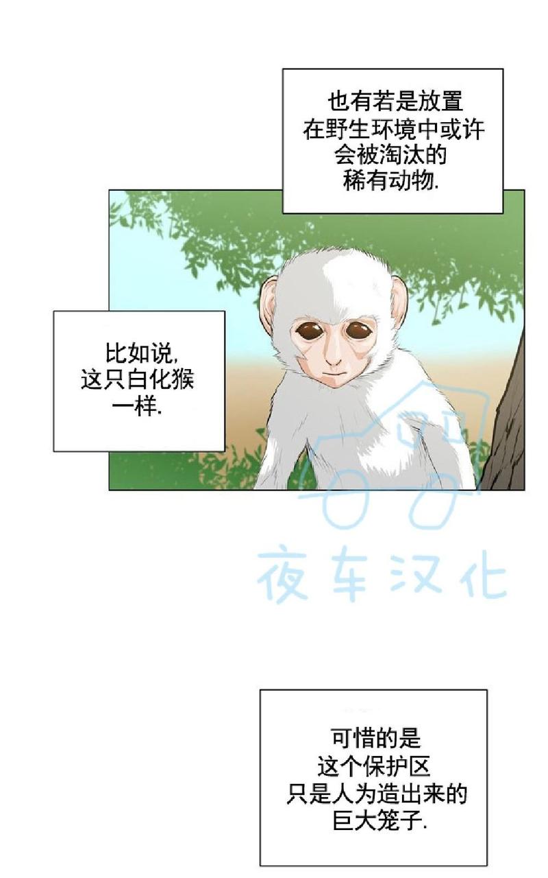 动物王国豆瓣漫画,第6话4图