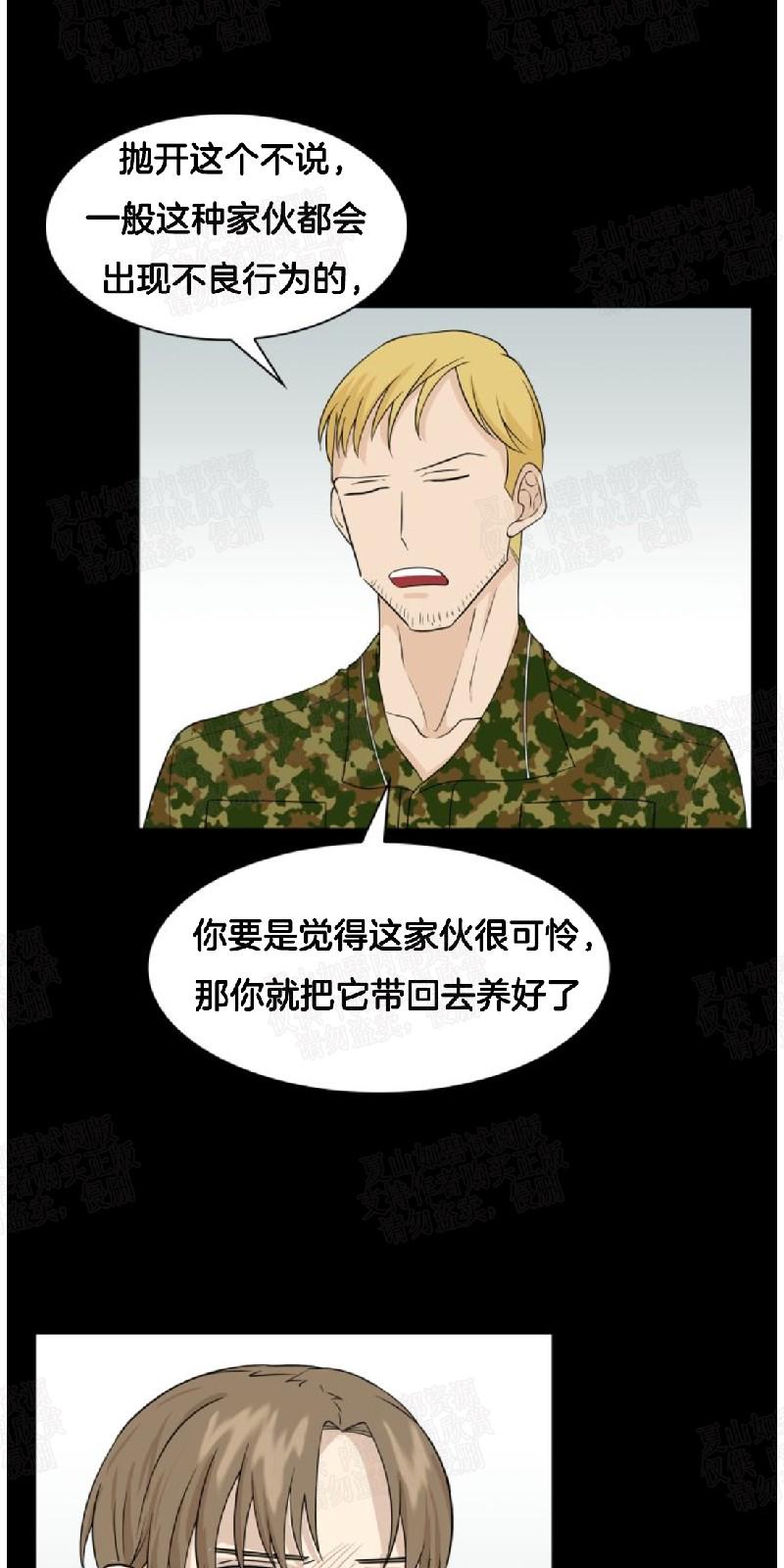 动物王国开运动会作文300字漫画,第6话5图