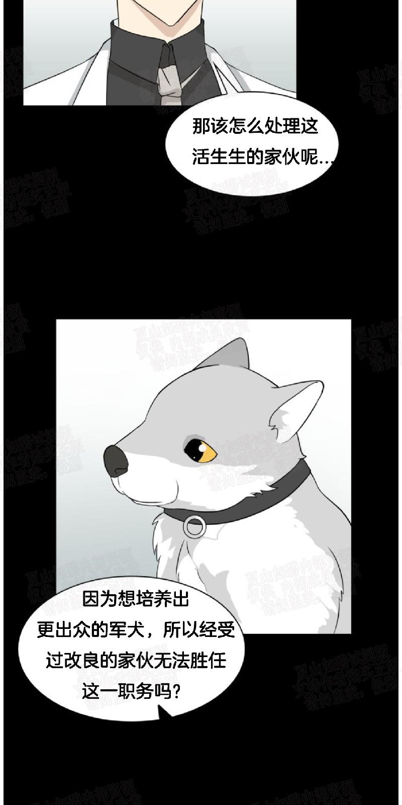 动物王国开运动会作文300字漫画,第6话4图