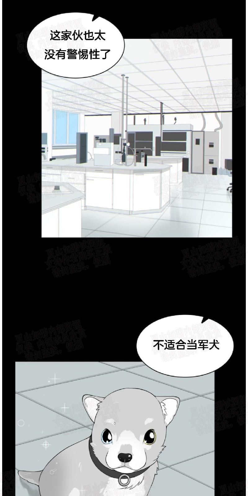 动物王国开运动会作文300字漫画,第6话1图