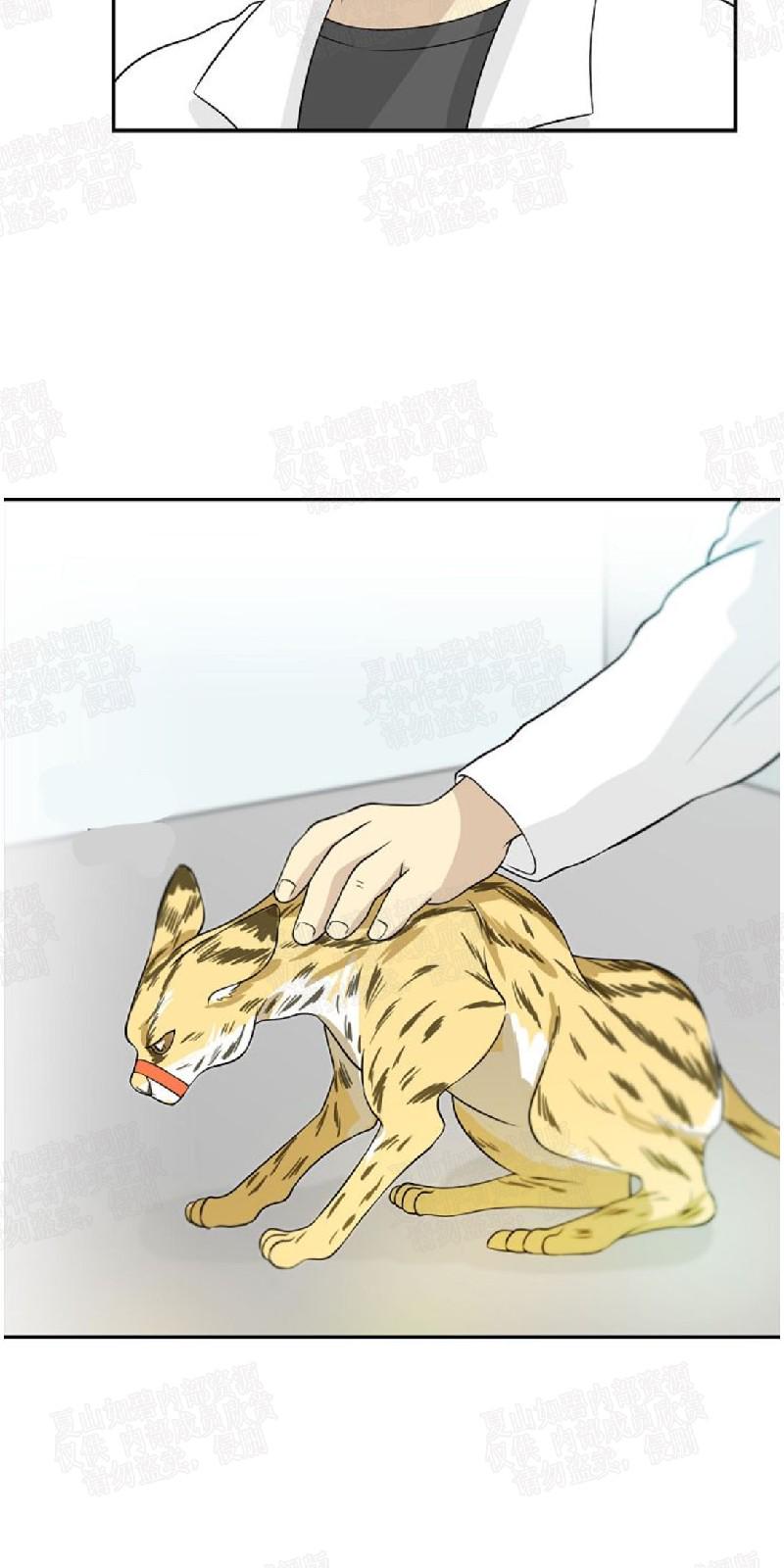 动物王国开大会是几年级的课文漫画,第12话2图