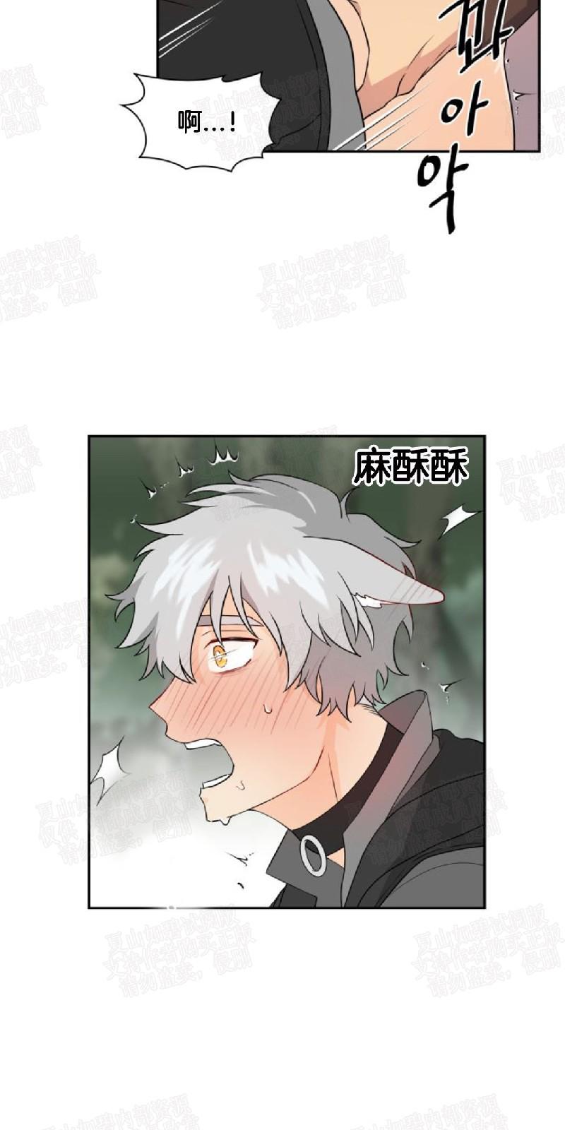 动物王国的数字中班数学教案漫画,第7话4图