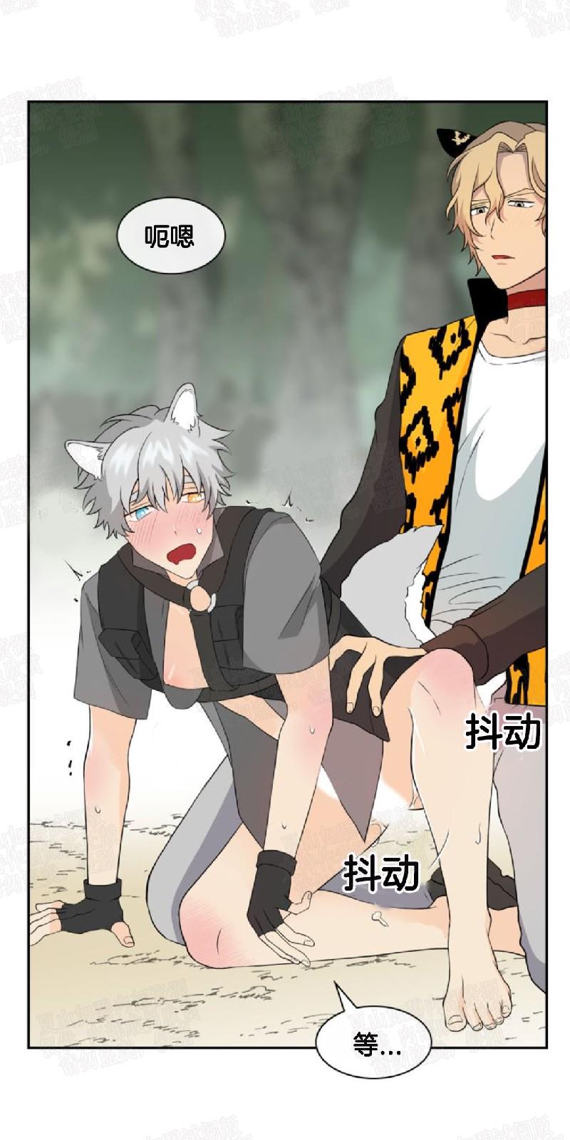 动物王国的数字中班数学教案漫画,第7话2图