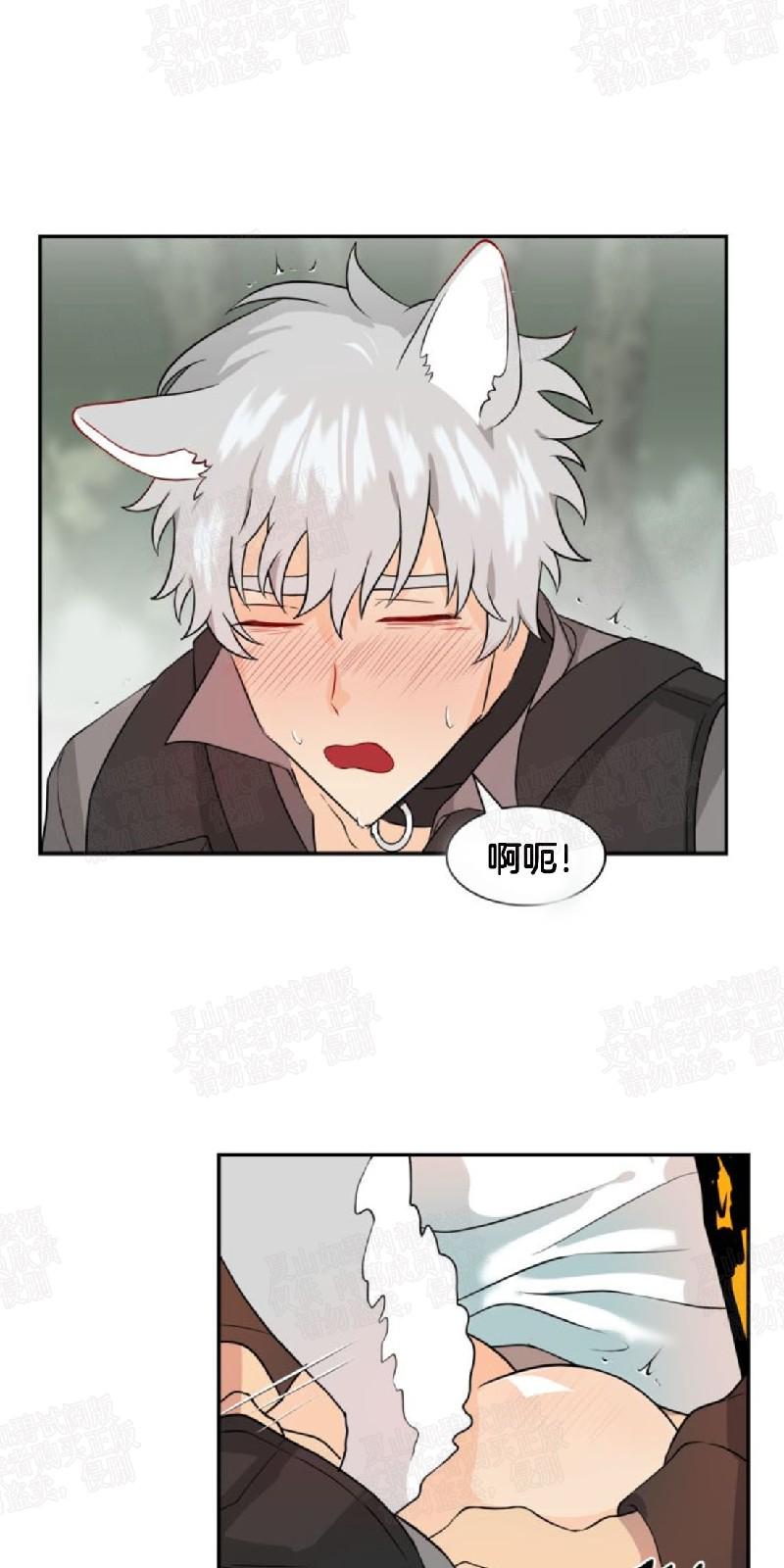 动物王国的数字中班数学教案漫画,第7话3图