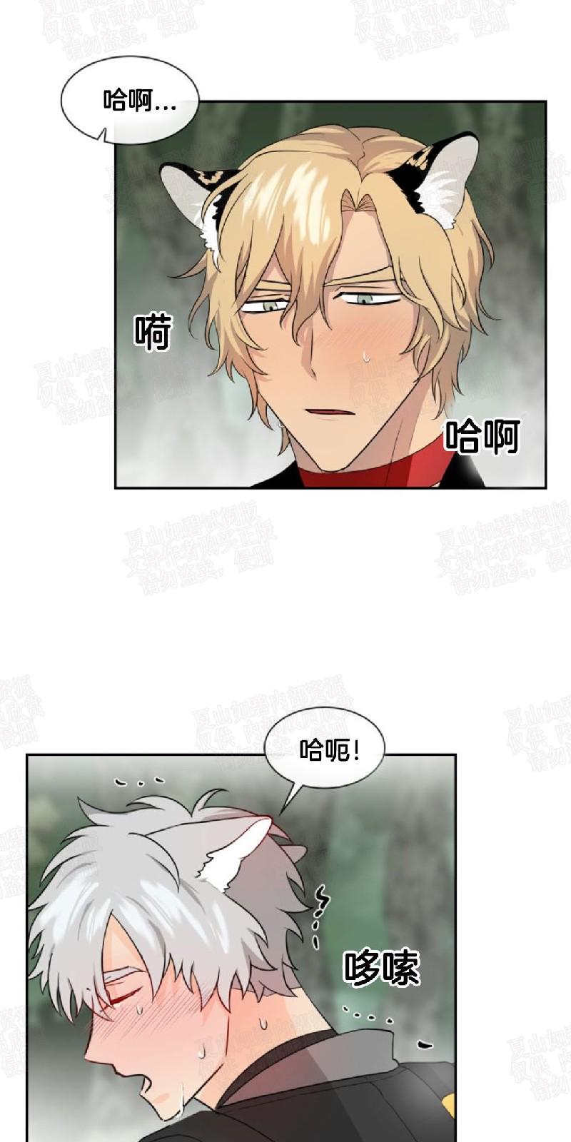 动物王国的数字中班数学教案漫画,第7话5图