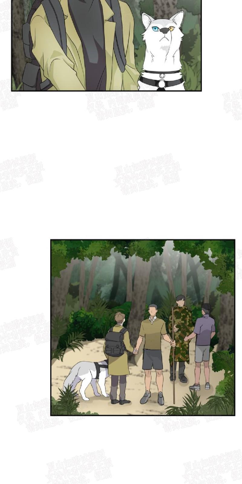 动物王国豆瓣漫画,第3话4图