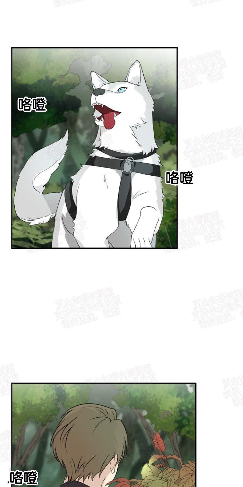 动物王国豆瓣漫画,第3话5图