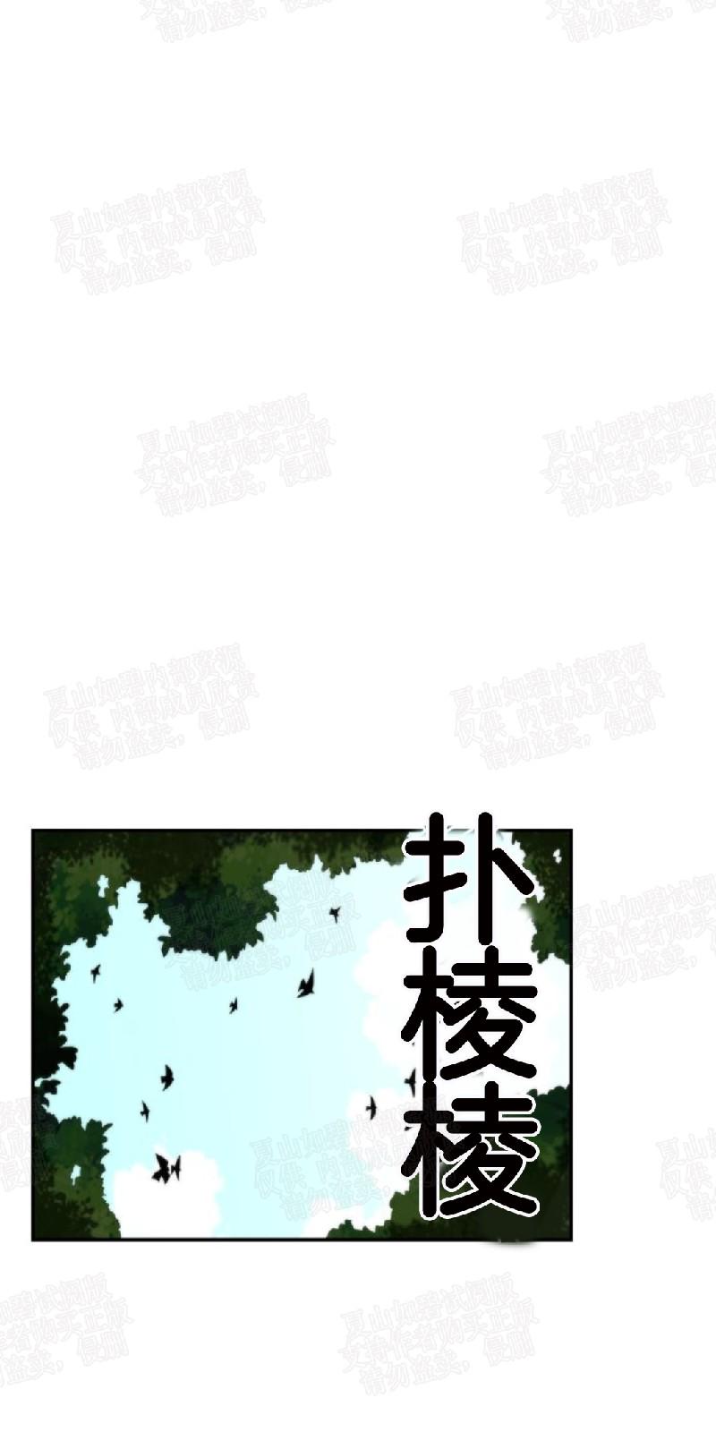 动物王国开运动会作文300字漫画,第5话5图