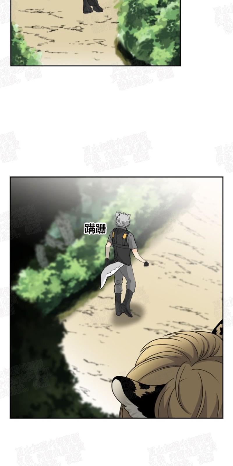 动物王国开运动会作文300字漫画,第5话2图