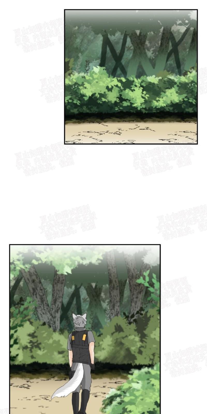 动物王国开运动会作文300字漫画,第5话1图