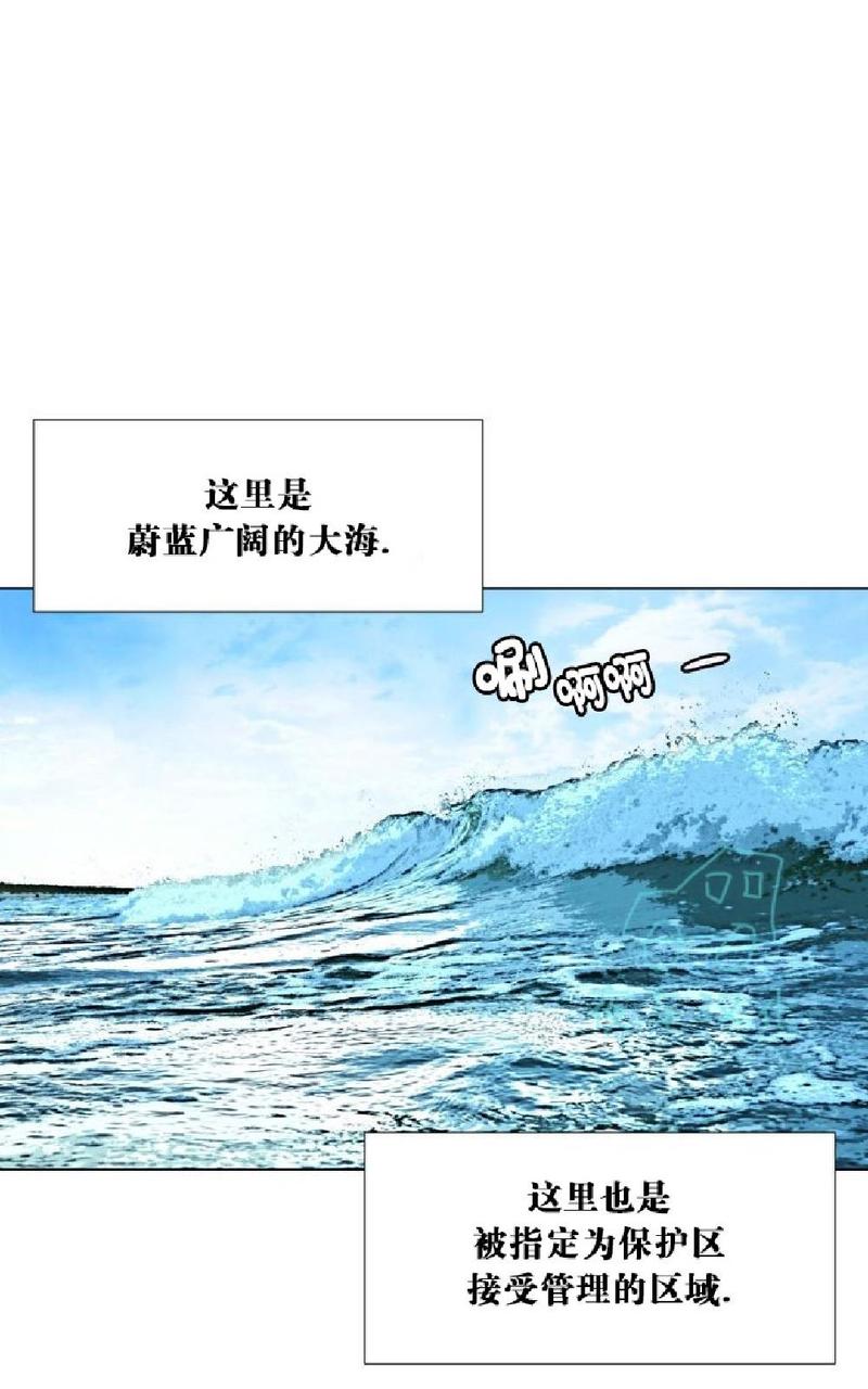 动物王国的故事作文漫画,第13话3图