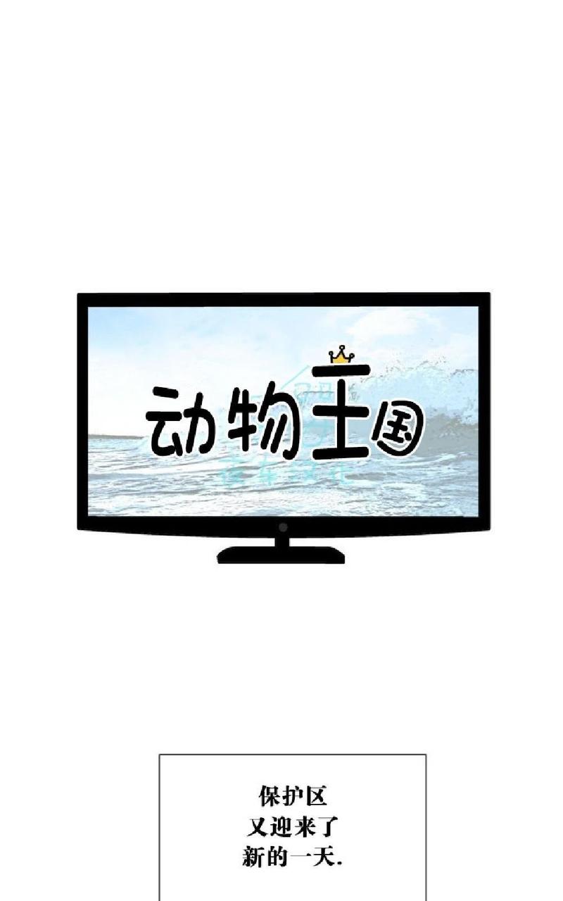 动物王国的故事作文漫画,第13话1图
