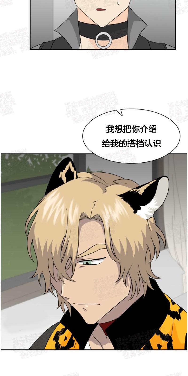 动物王国玩具漫画,第16话2图