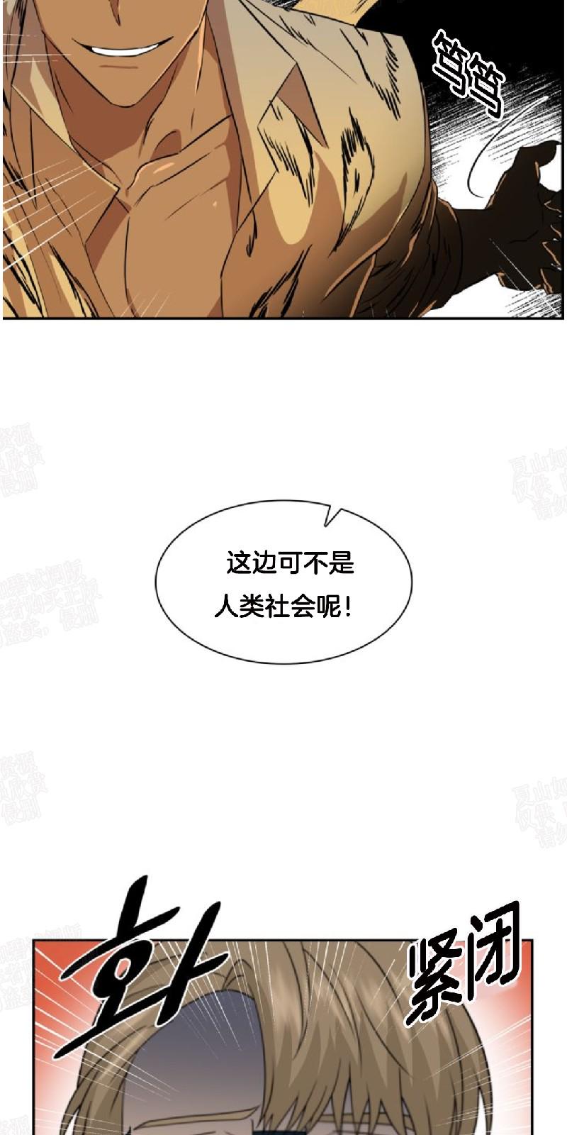 动物王国大冒险英语启蒙在线免费观看漫画,第22话2图