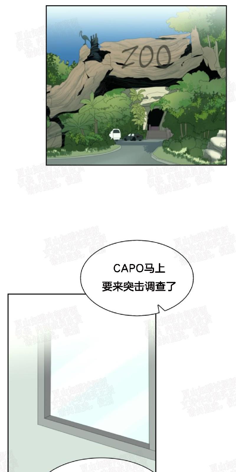 动物王国运动会作文300字漫画,第21话1图