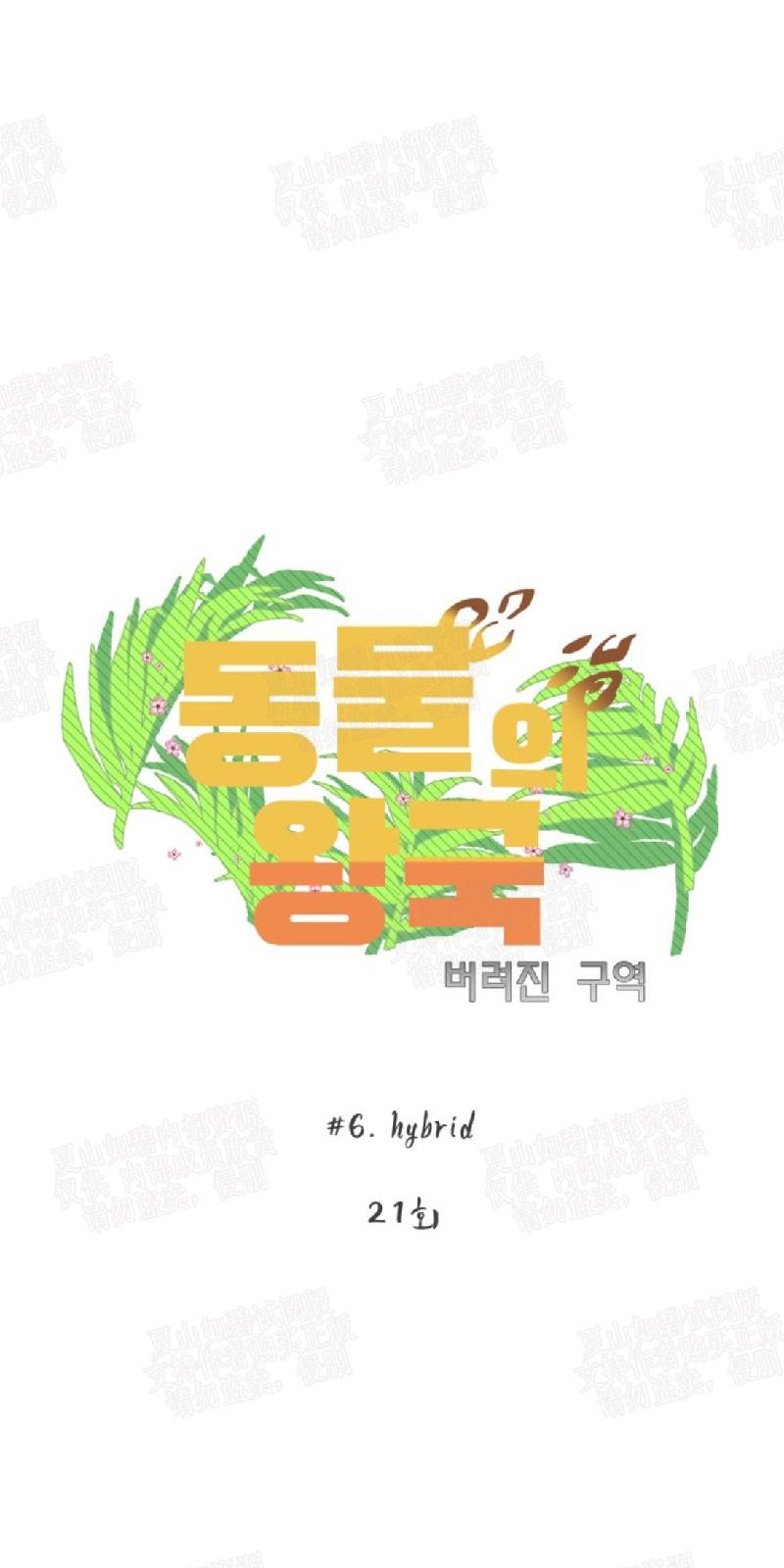 动物王国运动会作文300字漫画,第21话4图