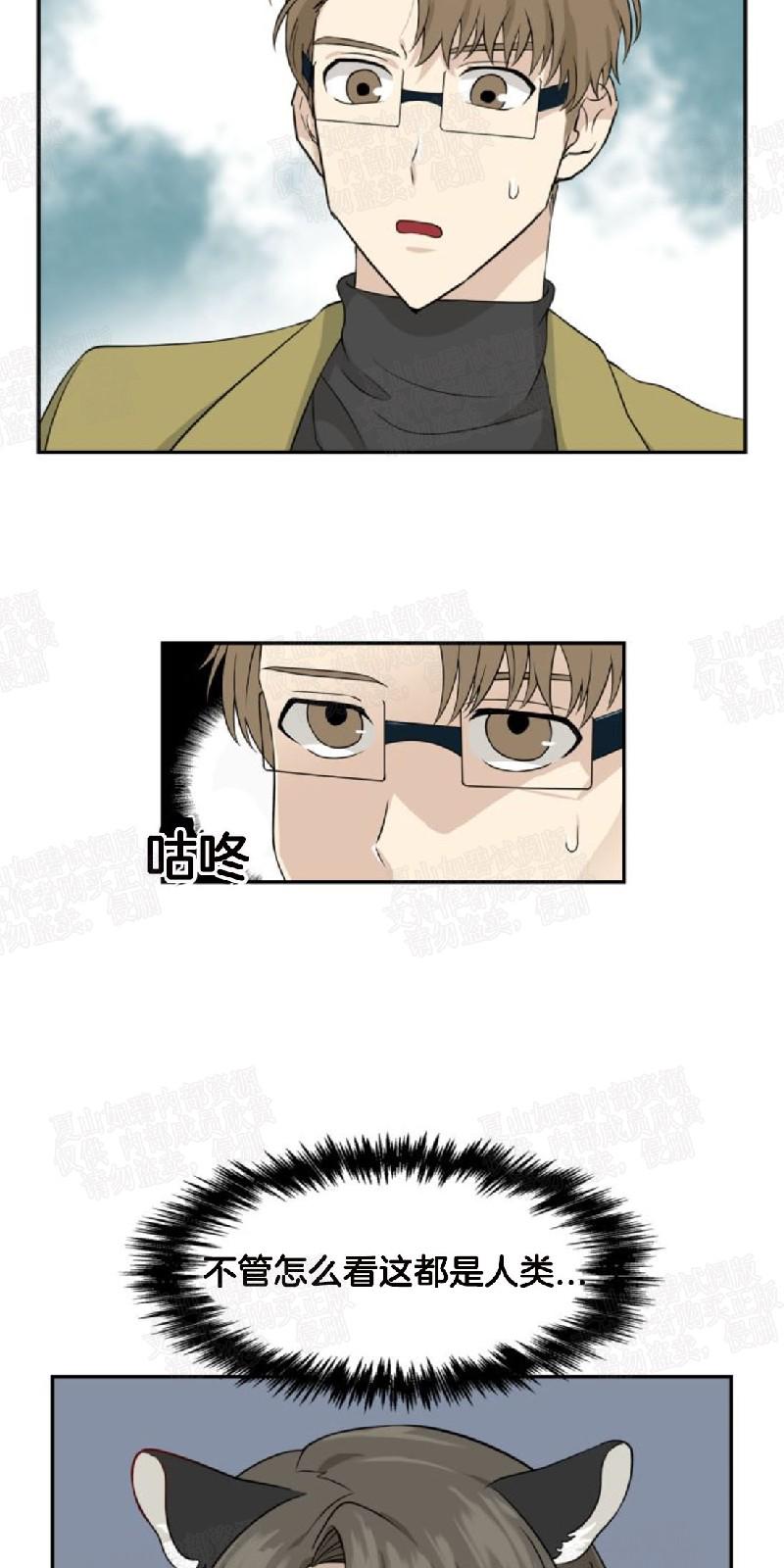 动物王国开大会的故事漫画,第8话4图