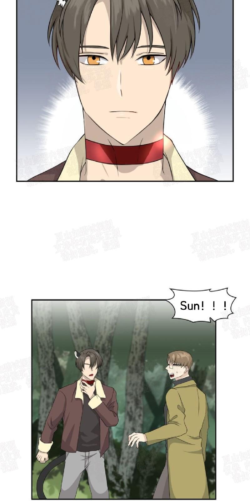 动物王国开大会的故事漫画,第8话5图