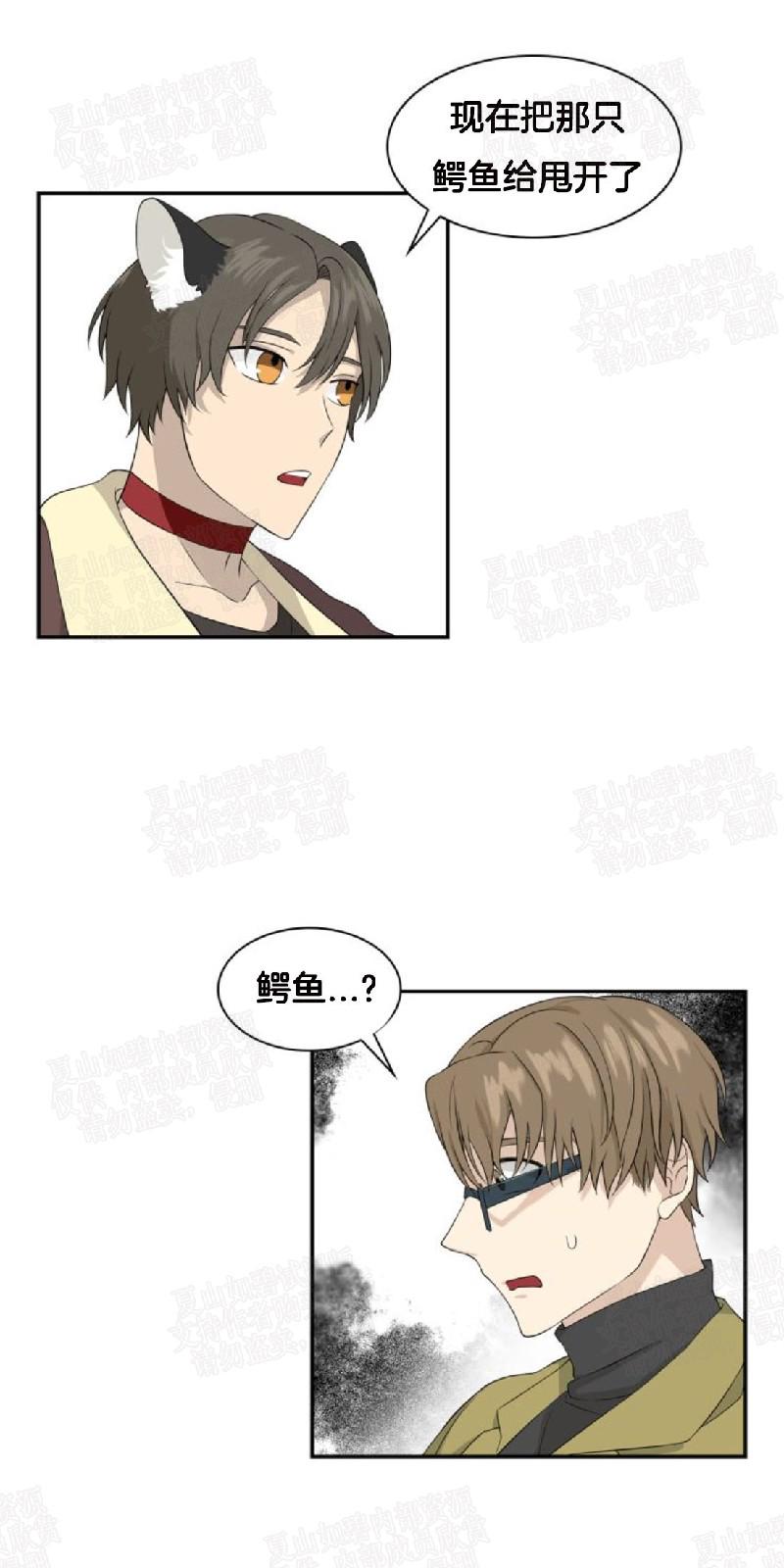 动物王国开大会的故事漫画,第8话1图