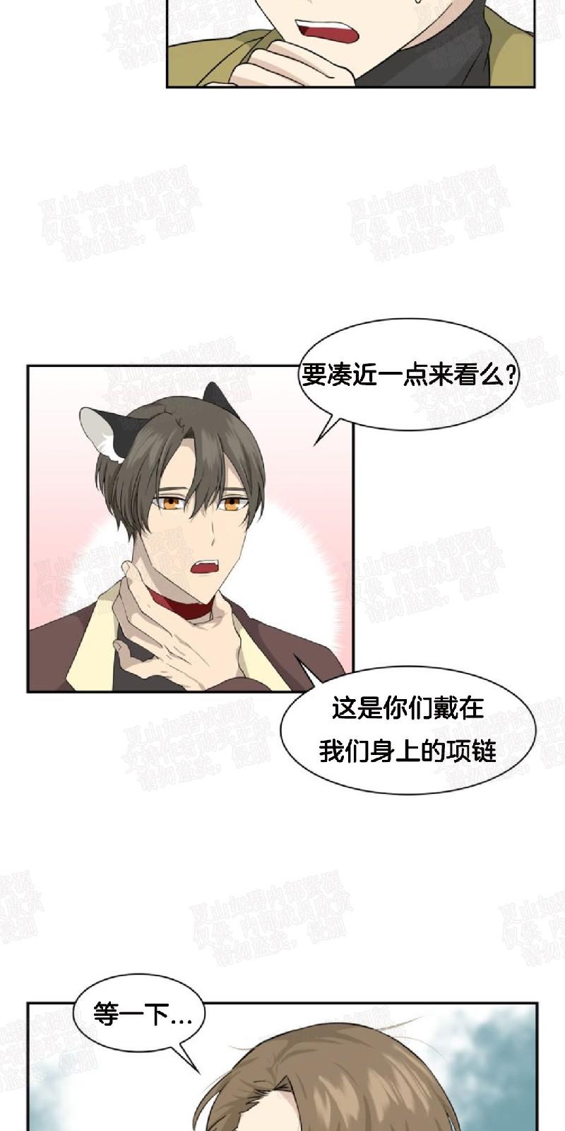 动物王国开大会的故事漫画,第8话3图