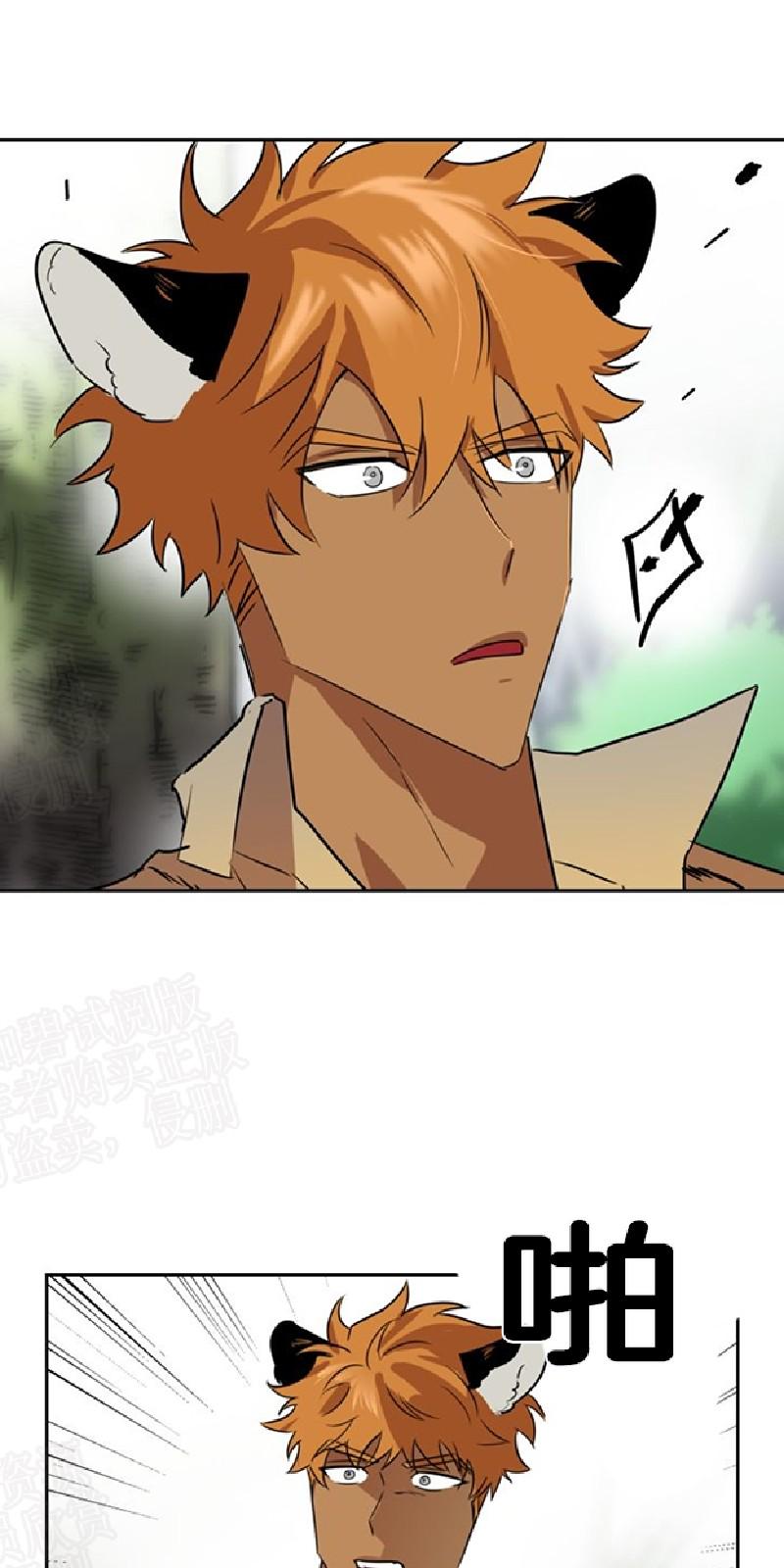 动物王国运动会作文300字漫画,第28话3图