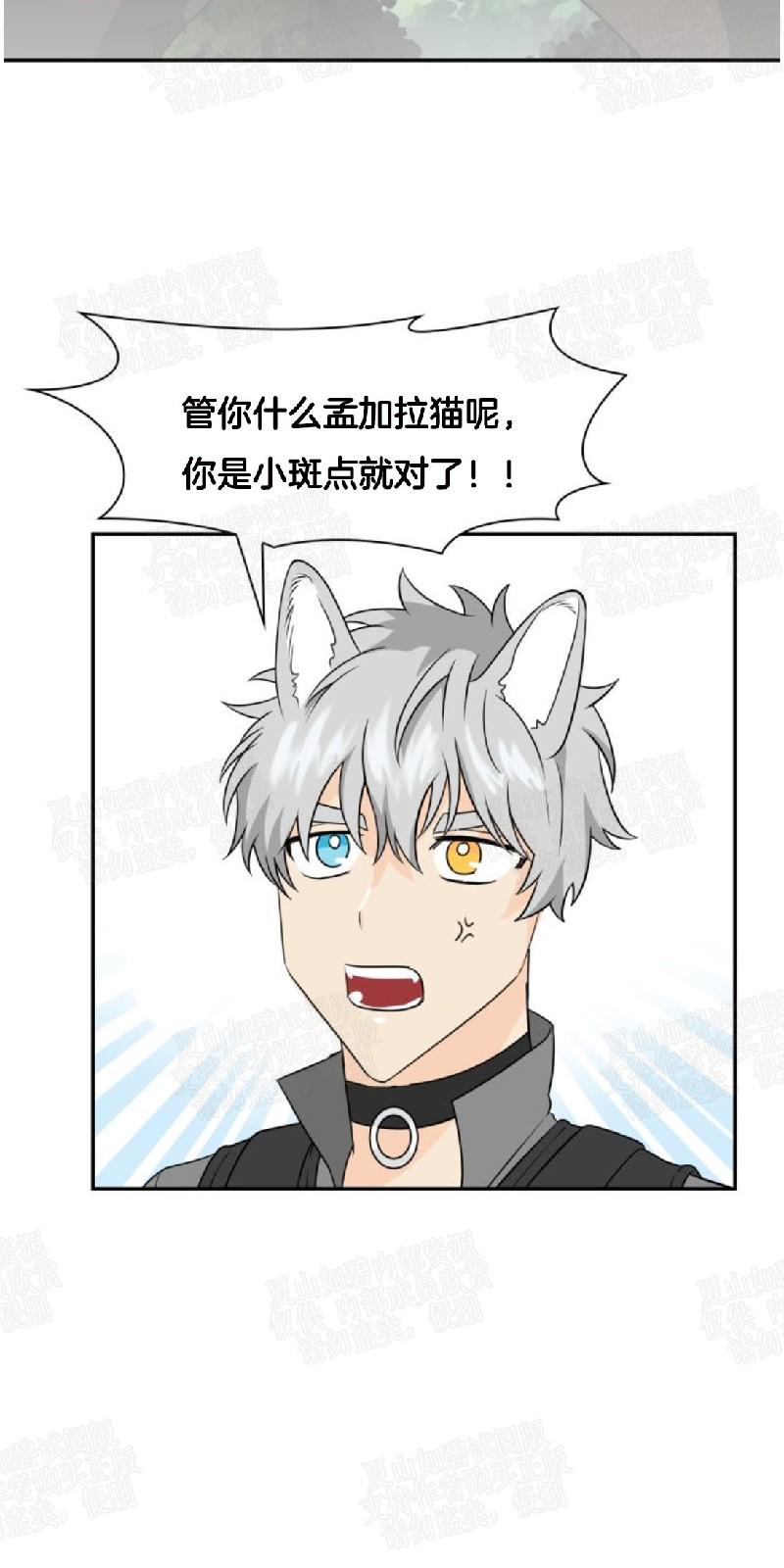 动物王国视频大全漫画,第13话3图