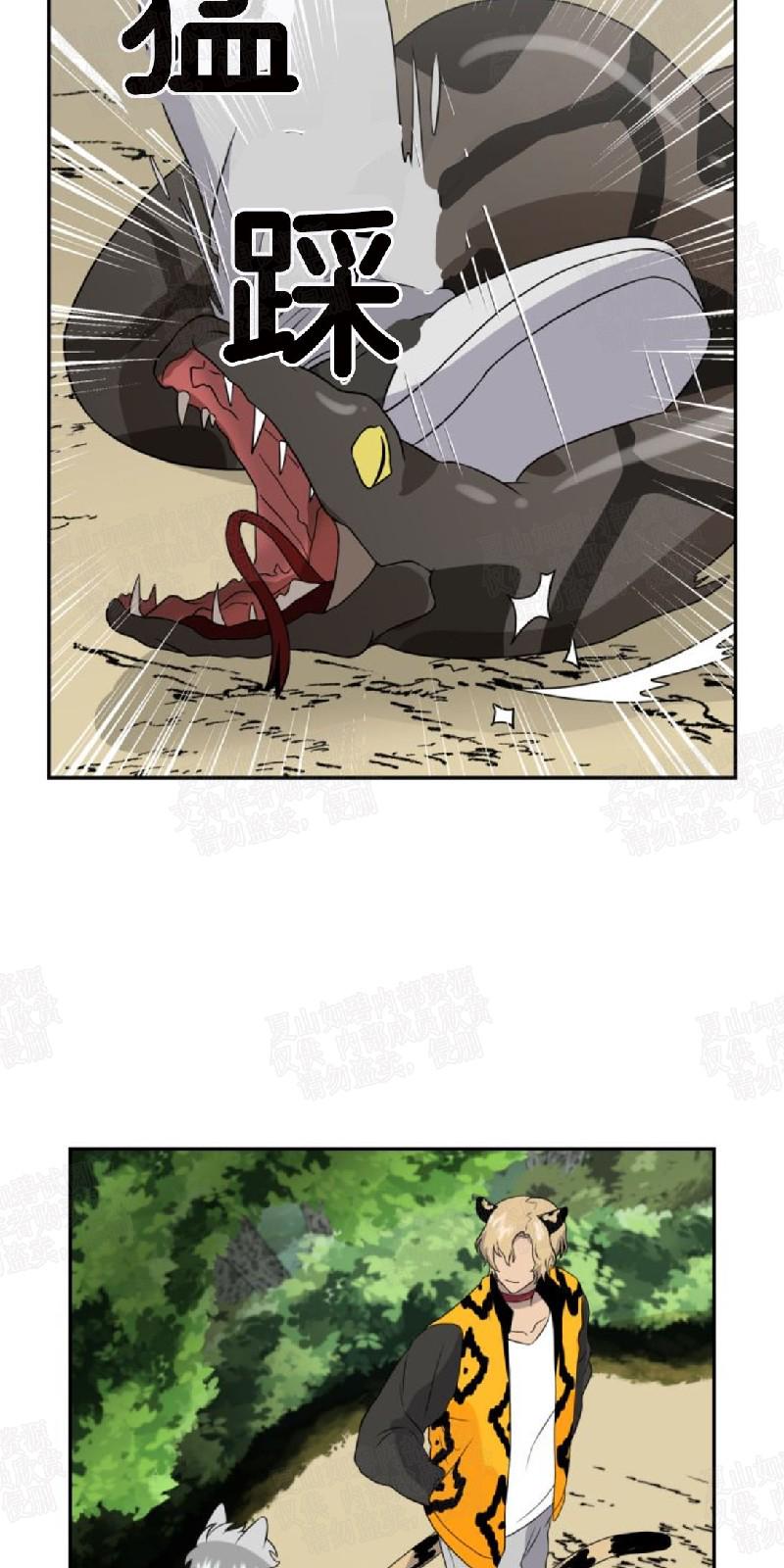动物王国视频大全漫画,第13话5图