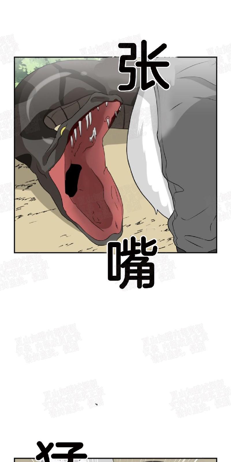动物王国视频大全漫画,第13话4图
