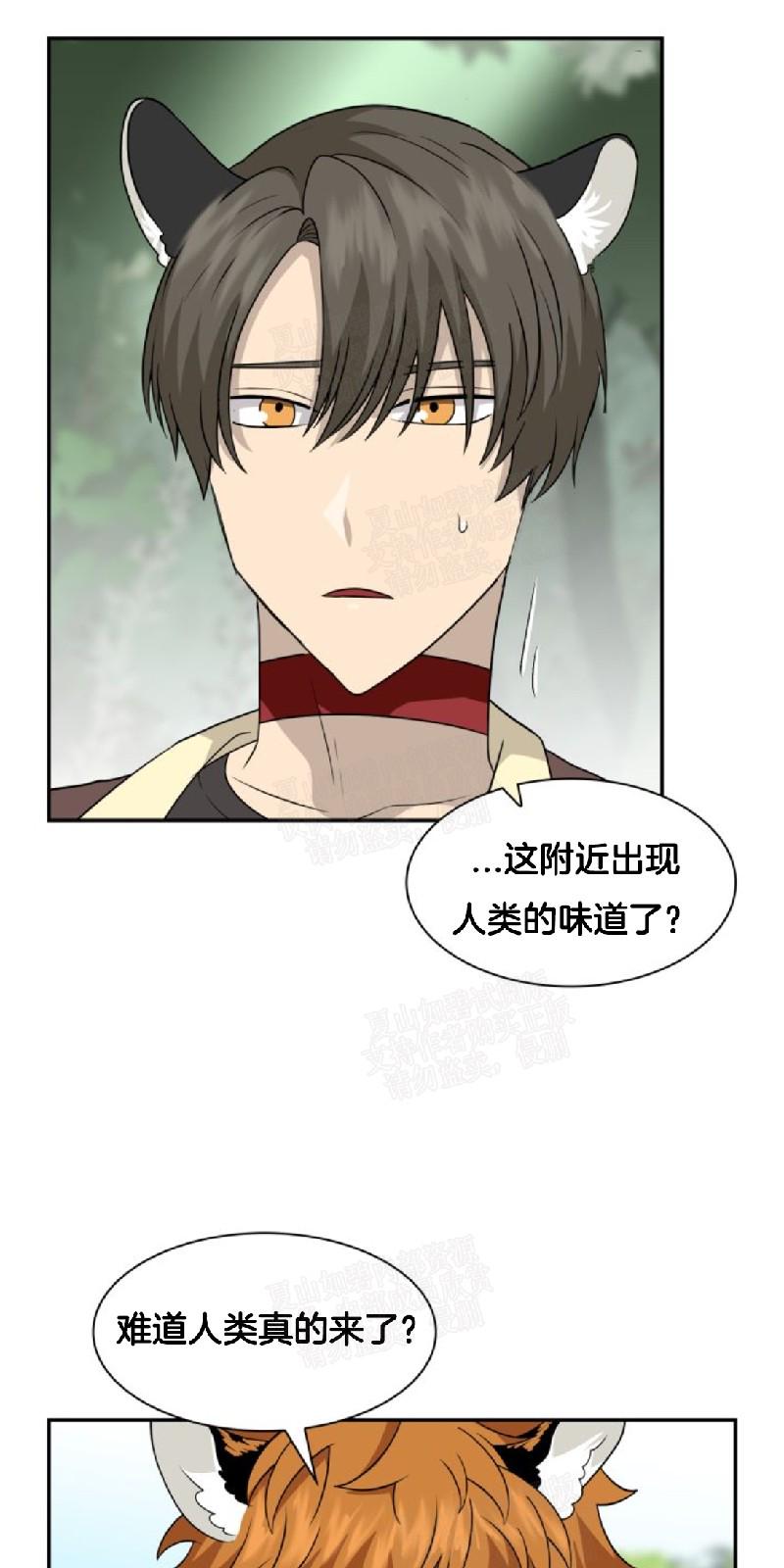 动物王国大冒险英语启蒙在线免费观看哔哩哔哩吧漫画,第18话1图