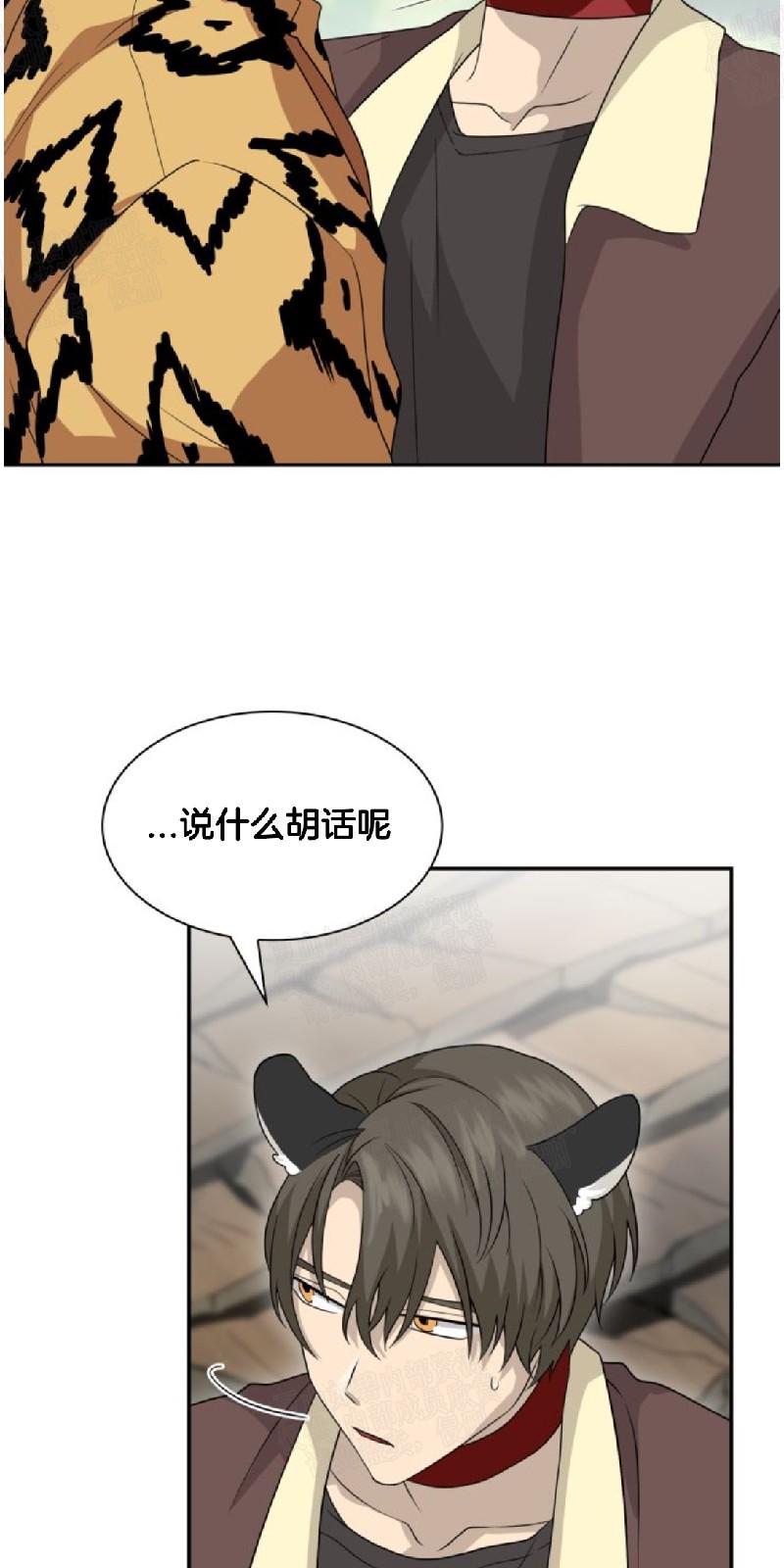 动物王国大冒险英语启蒙在线免费观看哔哩哔哩吧漫画,第18话3图