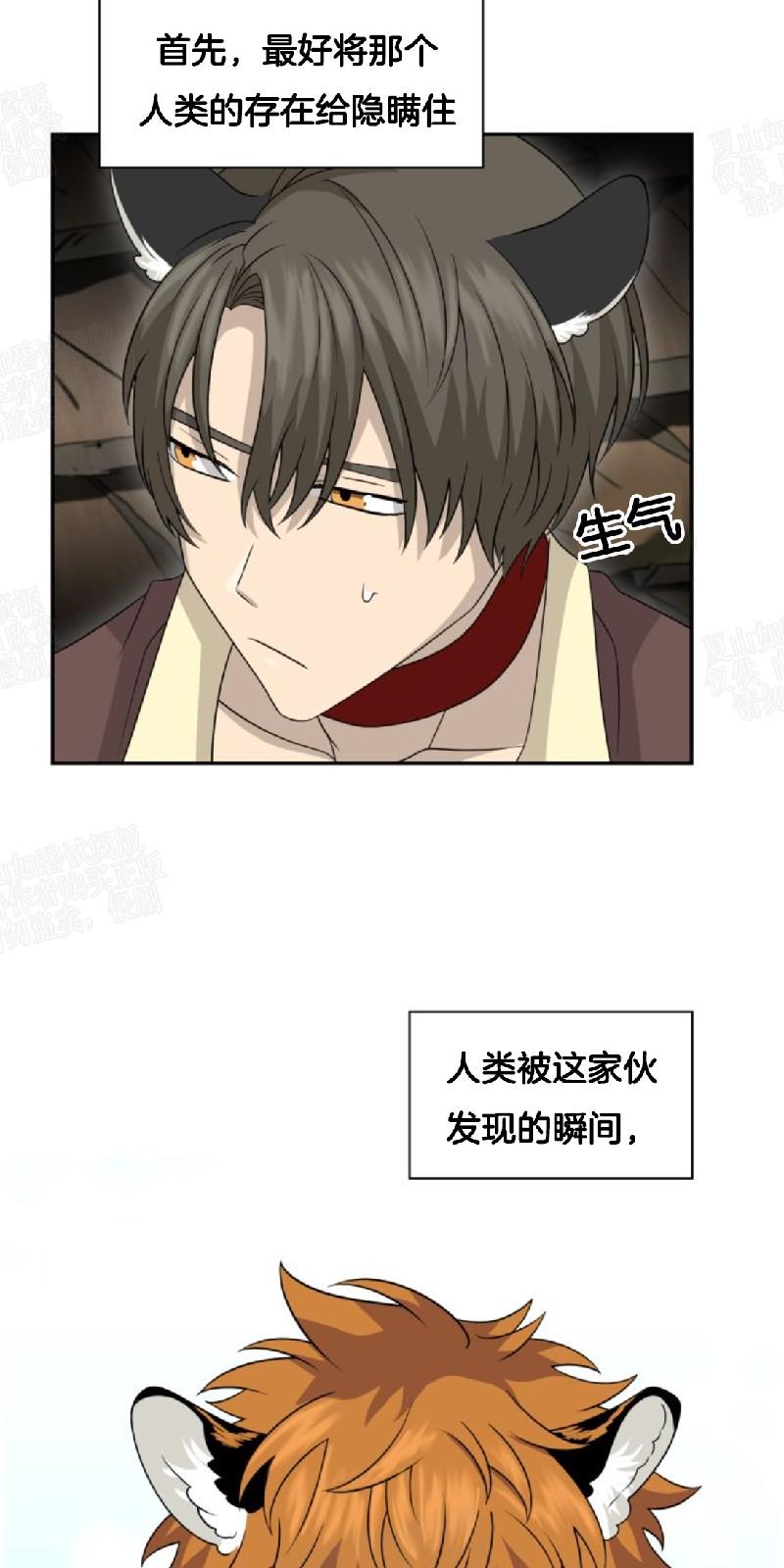 动物王国大冒险英语启蒙在线免费观看哔哩哔哩吧漫画,第18话5图