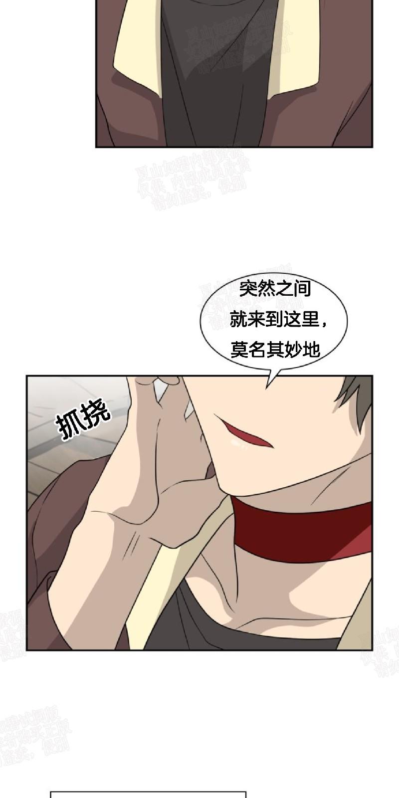 动物王国大冒险英语启蒙在线免费观看哔哩哔哩吧漫画,第18话4图