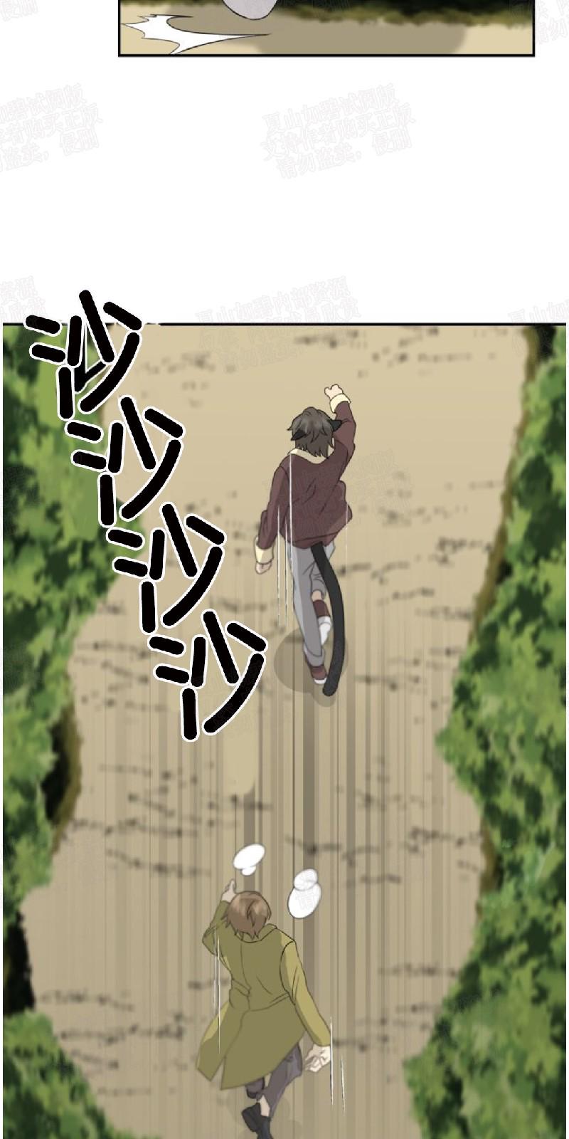 动物王国大冒险英文版全集bt下载漫画,第14话2图