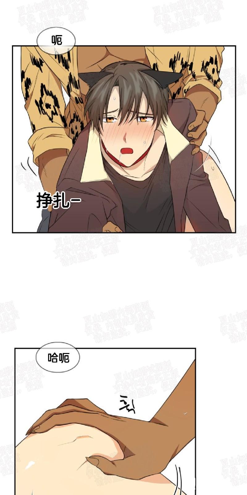 动物王国运动会作文300字漫画,第2话5图